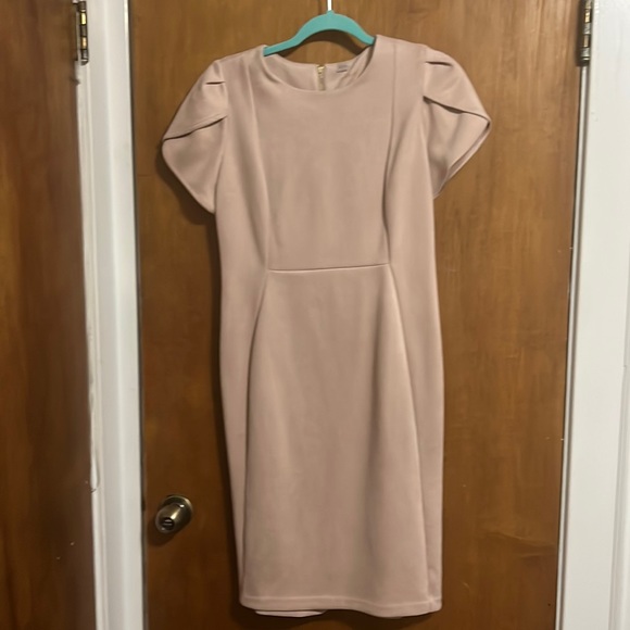 Calvin Klein Dresses & Skirts - Calvin Klein Ruffle Sleeve Sheath Dress Petal Pink  8